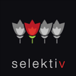 Icon of program: Selektiv Light for Window…