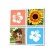 Icon of program: 3x3 Word Square