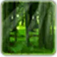 Icon of program: RealDepth Forest LWP