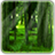 Icon of program: RealDepth Forest LWP
