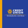 Icon of program: vangline-Central Credit U…
