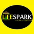 Icon of program: LifeSpark Outdoor Lightin…
