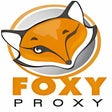 Icon of program: FoxyProxy Standard