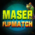 Master Flip Match icon