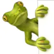 Icon of program: Spycam Lizard