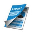 Icon of program: Report Pro for Microsoft …