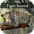 Icon of program: Tiger Sounds - Tiger Soun…
