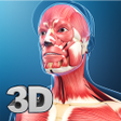 Icono de programa: My Muscle Anatomy