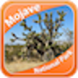 Icono de programa: Mojave National Park