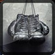 Icon of program: 3D Box-ing Fury Punch-out…