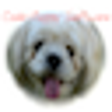 Icono de programa: iRunTrains for Macintosh
