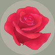 Icono de programa: Rosa's Garden