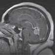 Icon of program: Neuroscience Lippincott's…