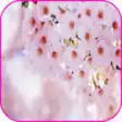 Icon of program: Spring Flowers Live Wallp…