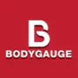 Icon of program: BodyGauge