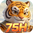 Icono de programa: 75HMerge