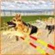 Icon of program: Dog Stunt & Training Simu…