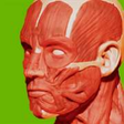 Icono de programa: Muscular System 3D (Anato…