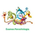 Icon of program: Exames Parasitologia