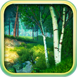Icon of program: Summer Forest 3D Screensa…