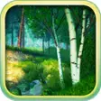 Icon of program: Summer Forest 3D Screensa…
