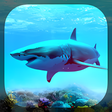 Icono de programa: Sharks Live Wallpaper
