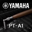 Icon of program: Piano Tuning App PT-A1 - …