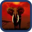 Icon of program: Beautiful Elephant Pics