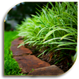 Icono de programa: Lawn Care