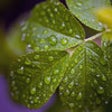 Fascinating Nature Views - Wallpapers & Slideshow HD icon