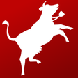 Icon of program: Swisscows Search