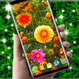 Icono de programa: Autumn Flowers 4K Live Wa…