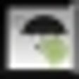 Icon of program: NWService Radar