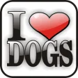 Icon of program: I Love Dogs Doo-Dad
