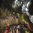 Icono de programa: MTBFreeride