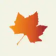 Icon of program: Colors of Autumn