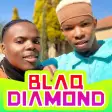 Icon of program: Blaq Diamond Songs Offlin…