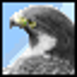 Icono de programa: Falcon a Lightweight FEM …