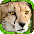 Icon of program: Cheetah Simulator