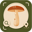 Icon of program: Champignons: Identifier  …