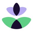 Icon of program: Orchid Medical Spa Softwa…