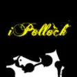 Icon of program: iPollock