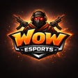 Icono de programa: Wow Esport
