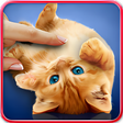 Icon of program: Purring cats, live wallpa…