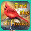 Icon of program: Birds Spot The Difference…