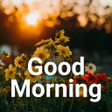 Icon of program: Good Morning Images & Mes…