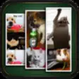 Icon of program: Funny Pet Wallpapers