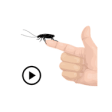 Icon of program: Animated Cockroach Sticke…
