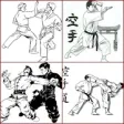Icon of program: Chinese martial arts