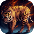 Icon of program: Tiger King Live HD Wallpa…